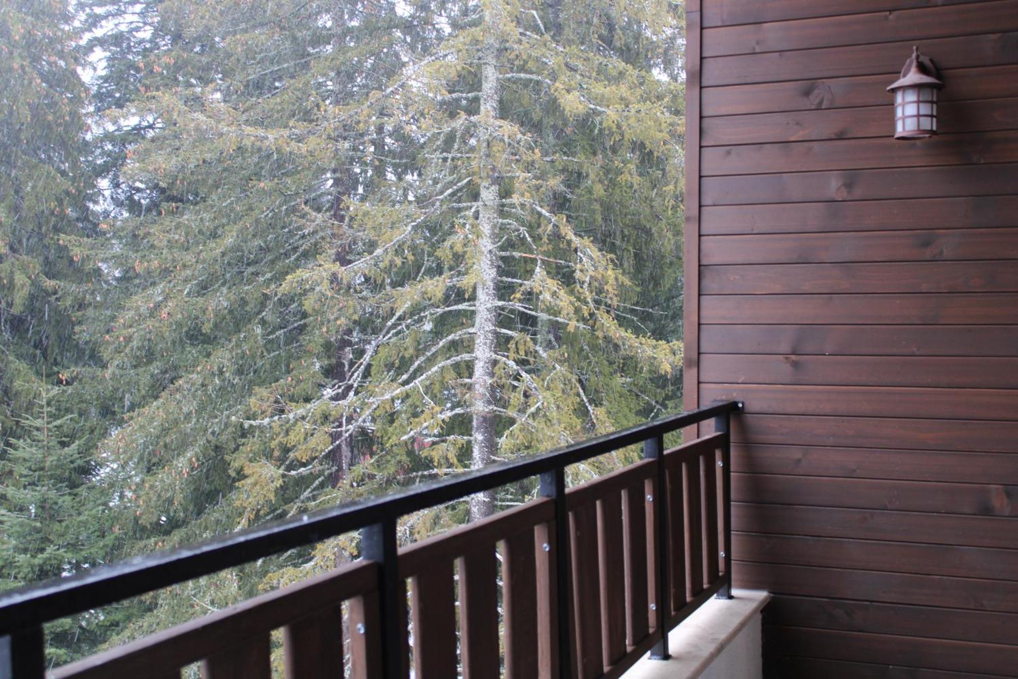 Mountain Studio Asp E63 Borovets Gardens Exterior photo